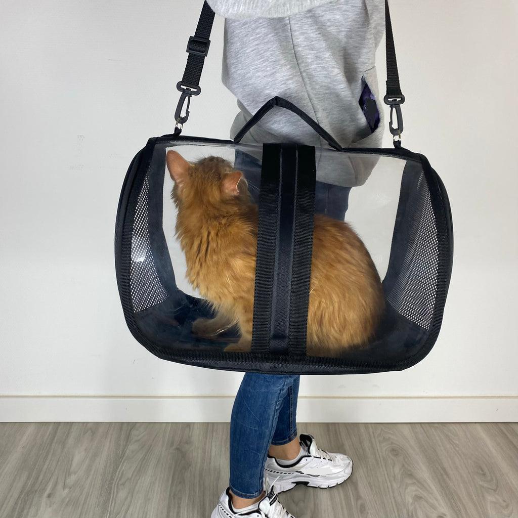 Transporttasche für Katzen - endlich stressfrei zum Tierarzt