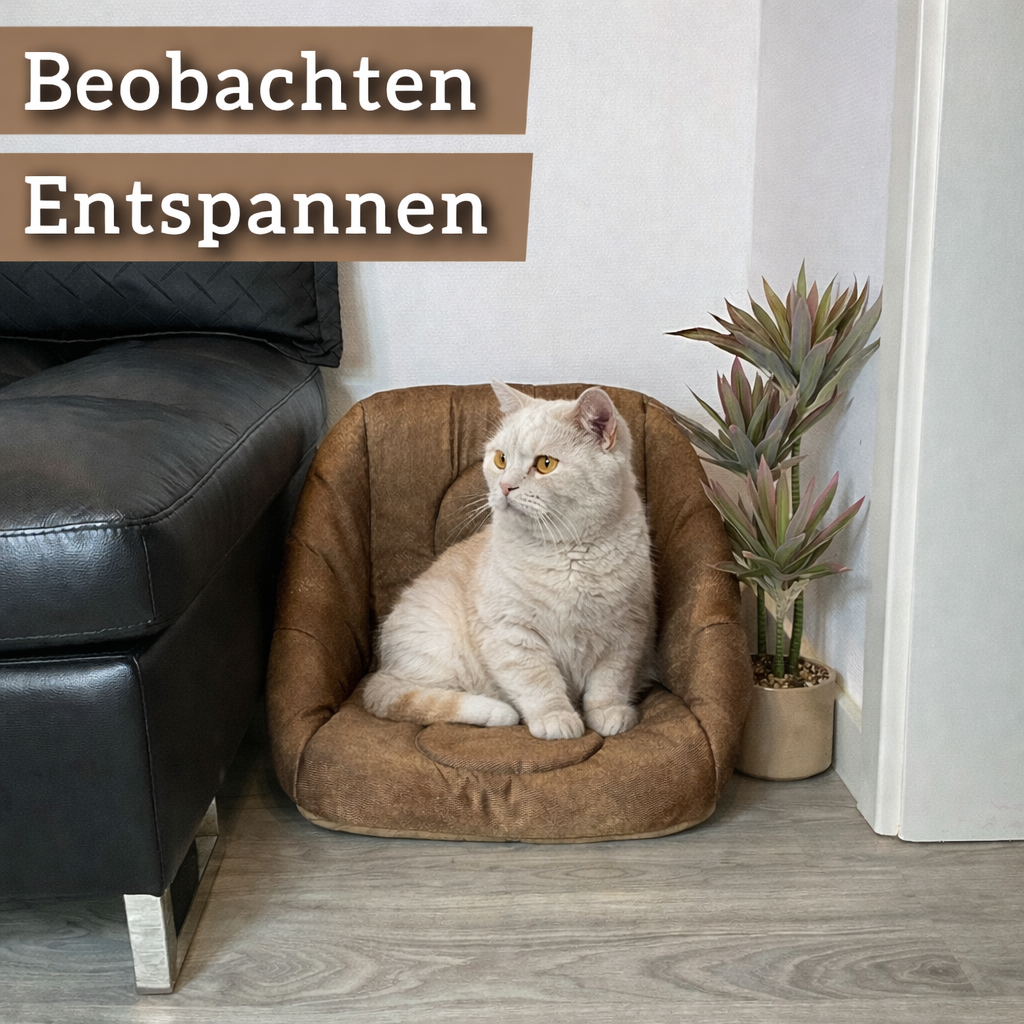 Die 3-in-1 Katzenhöhle, die Katzen lieben - zu jeder Jahreszeit. (Braun)
