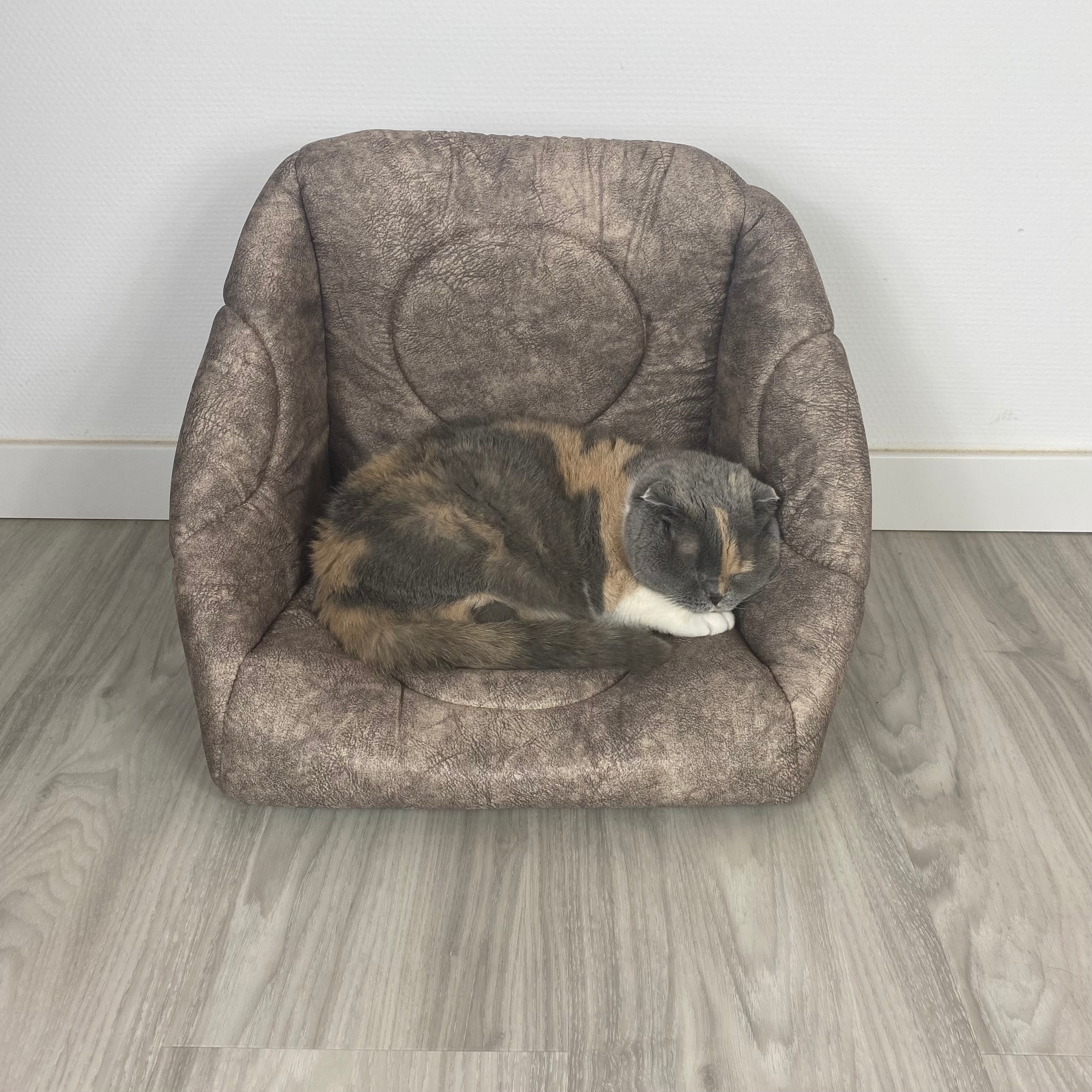 3-in-1 Katzenhöhle als Bett & Sessel 😺