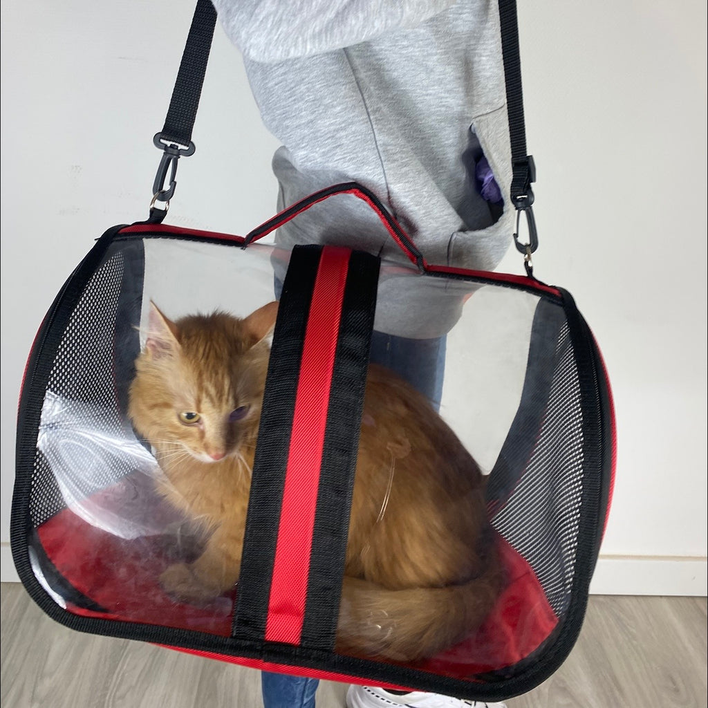 Transporttasche für Katzen - endlich stressfrei zum Tierarzt