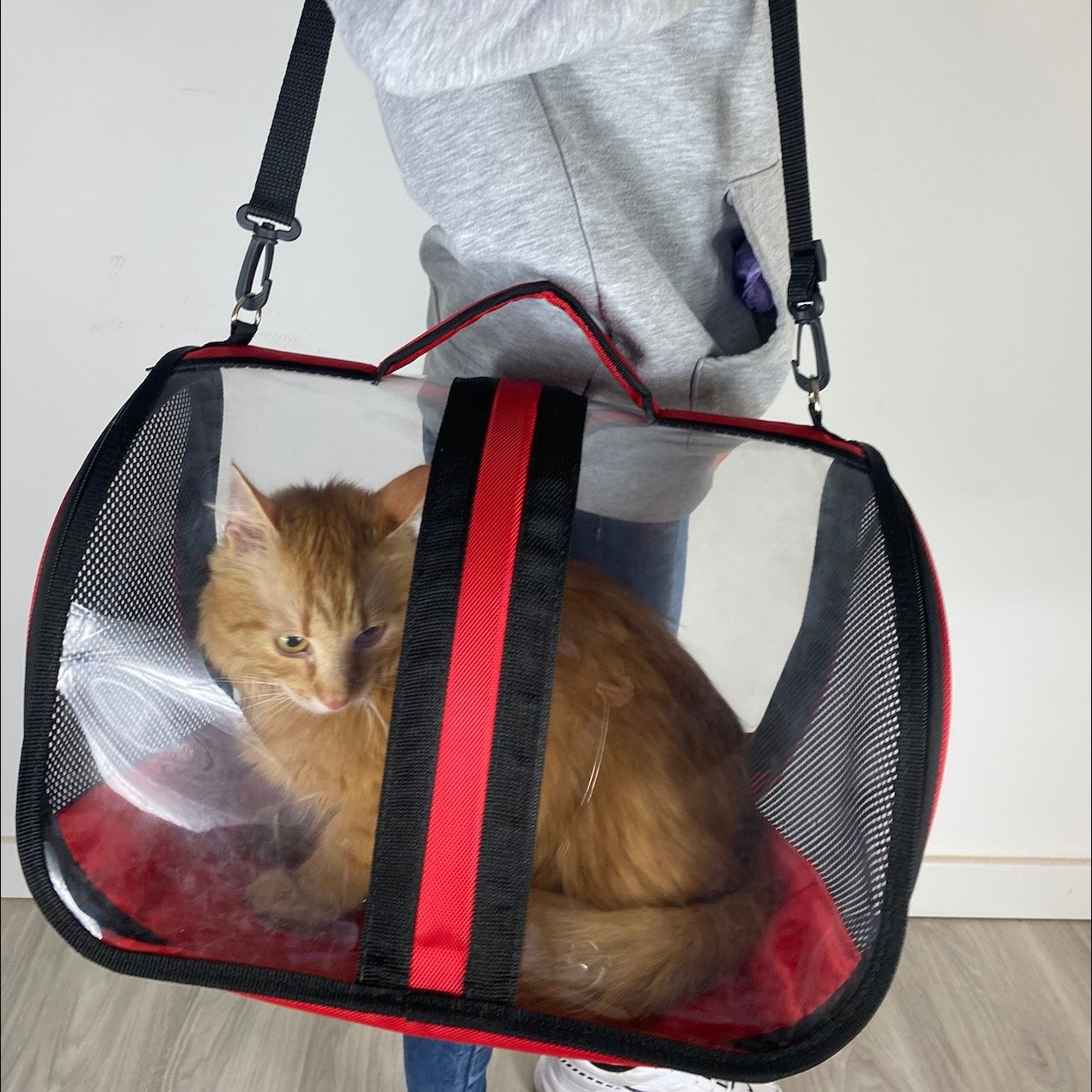 Transporttasche für Katzen - endlich stressfrei zum Tierarzt