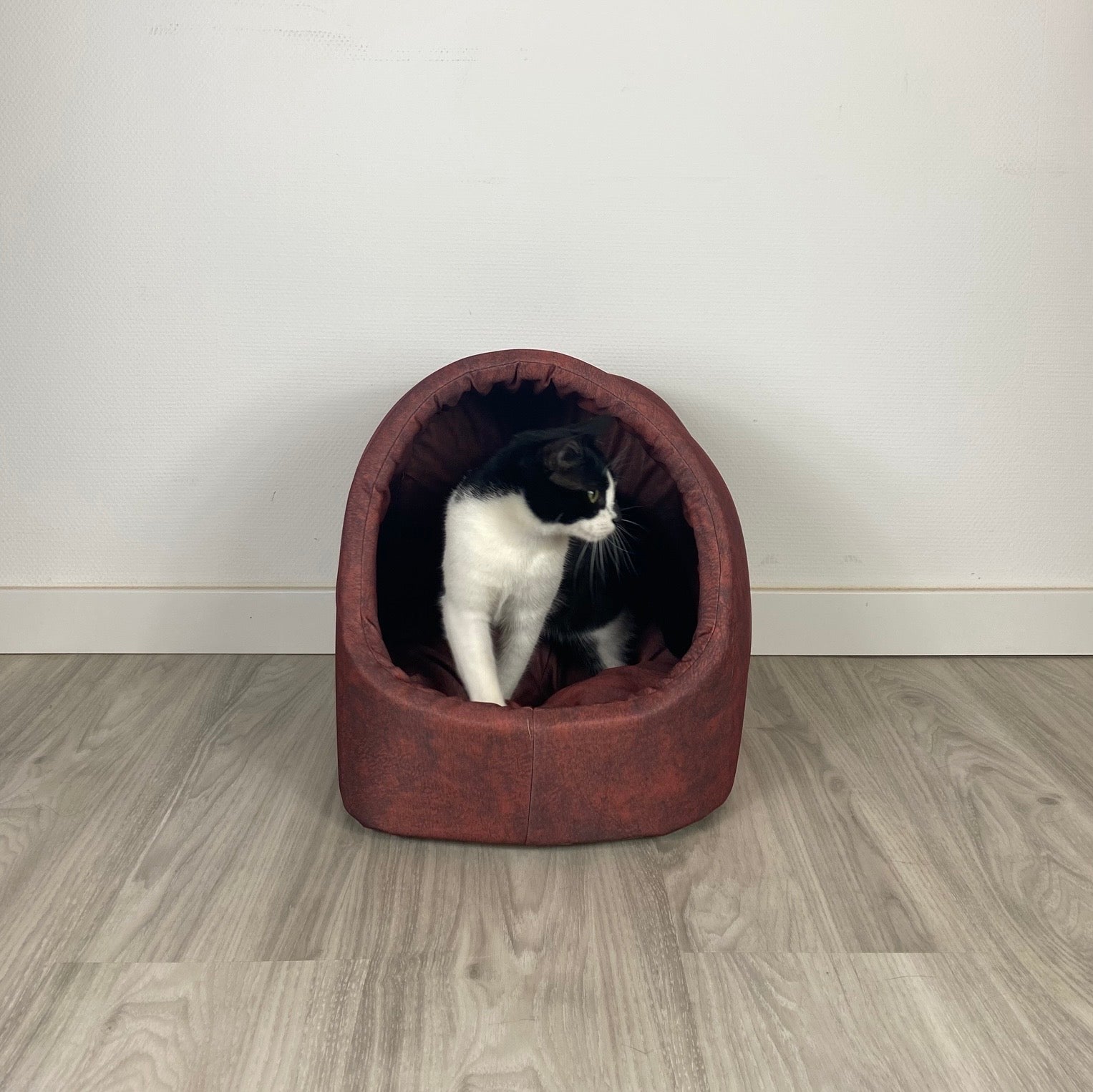 Die Kuschelhöhle für Katzen