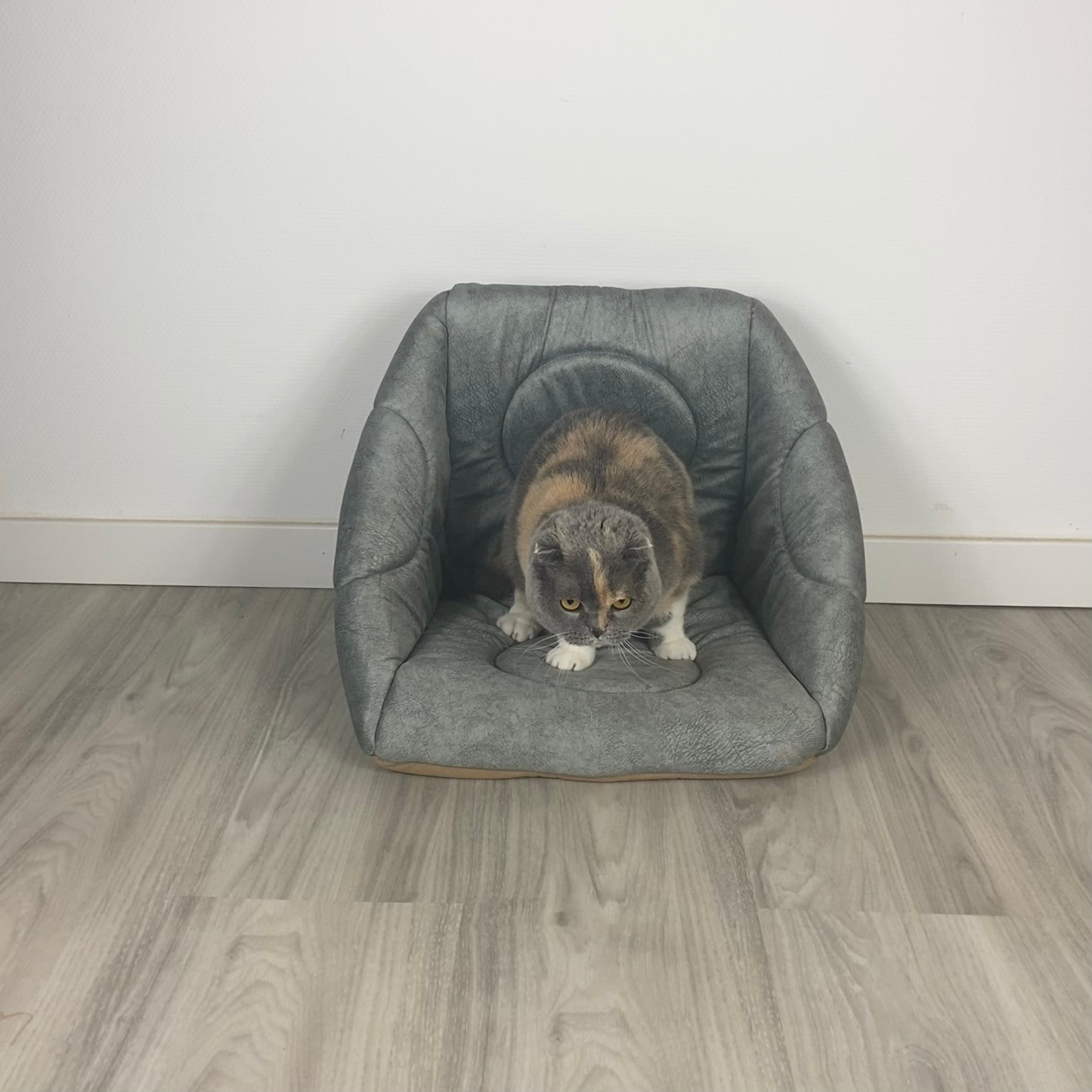 3-in-1 Katzenhöhle als Bett & Sessel 😺