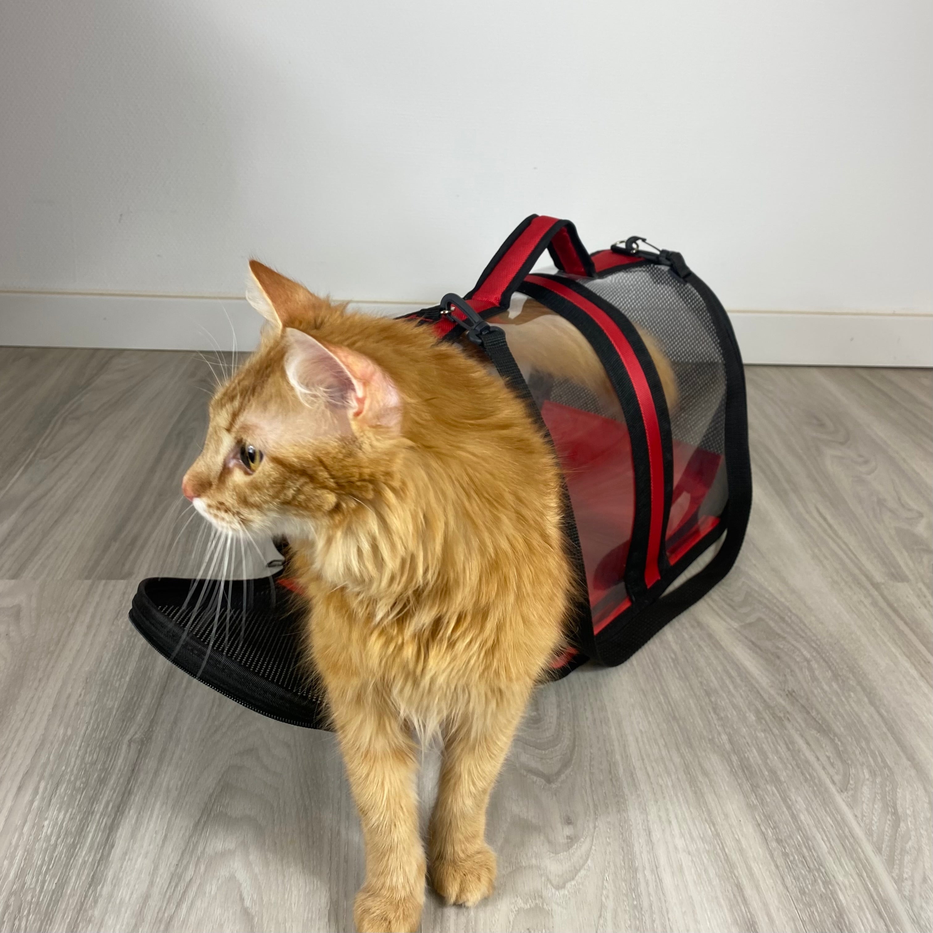 Transporttasche für Katzen - endlich stressfrei zum Tierarzt