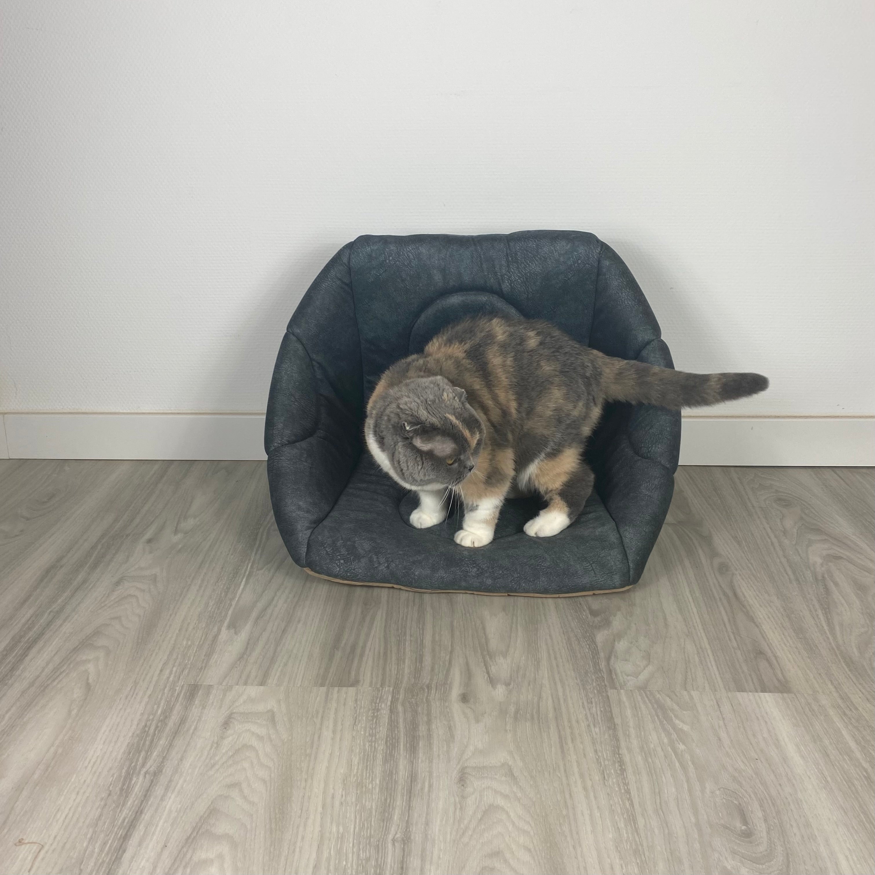 3-in-1 Katzenhöhle als Bett & Sessel 😺
