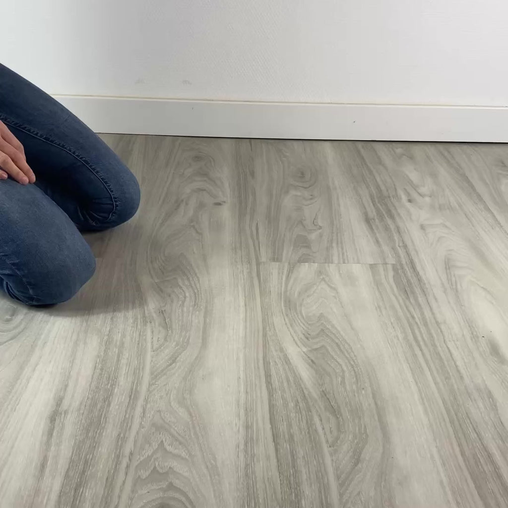 Transporttasche für Katzen - endlich stressfrei zum Tierarzt